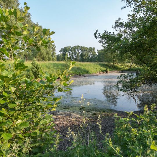 Quellteiche bei Linnich