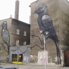 Ptaki