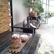 Museo del bonsai "Crespi"