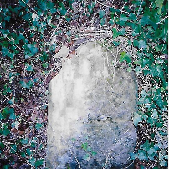 Milestone, Constitution Hill, between Dulcote & Wells