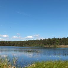 Zaļezera purvs