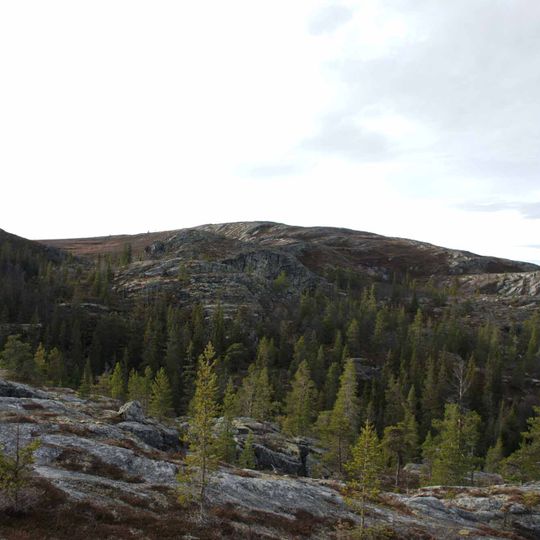 Järvdalen Nature Reserve