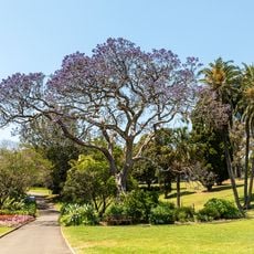 シドニー王立植物園