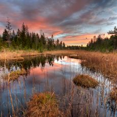 Kaltenbachquelle im Kirchsee-Filz