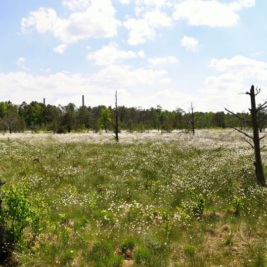 Wurzacher Ried und Rohrsee