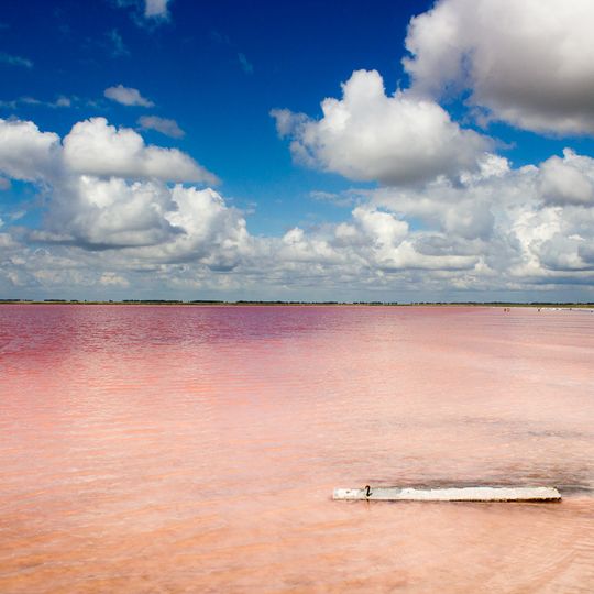 Burlinskoye Lake