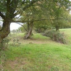 Over Chalford medieval settlement