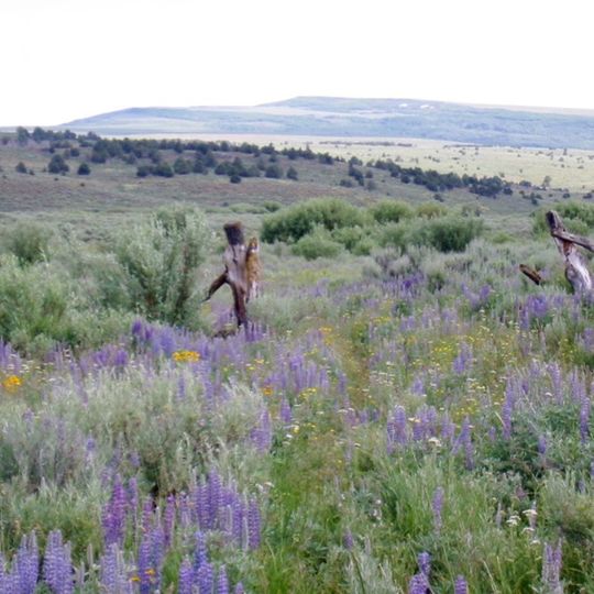 Steens Mountain Wilderness