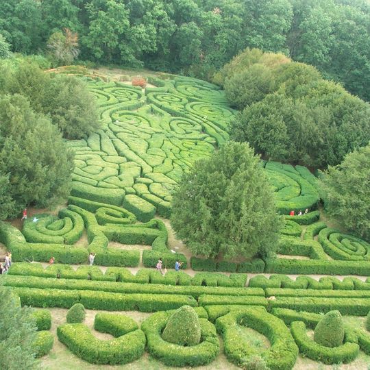 Boxwood maze
