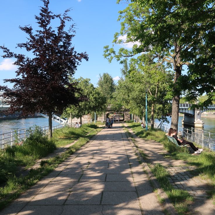 Île aux Cygnes