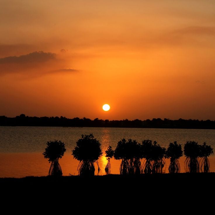 Batticaloa Lagoon
