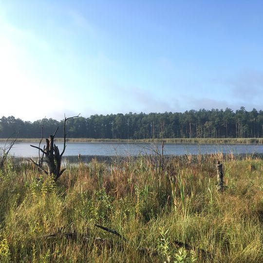 Rezerwat przyrody Jezioro Orchowe