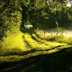 Eldgarnsö Nature Reserve