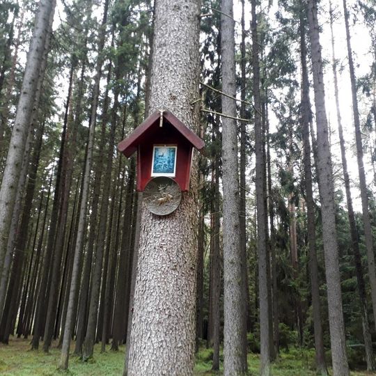 Obrázek v lese severovýchodně od Bořetína
