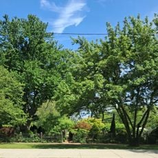 Fenway/Richard D. Parker Victory Gardens