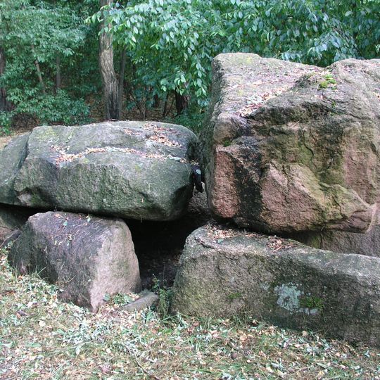 Großsteingrab Brüssow-Hammelstall