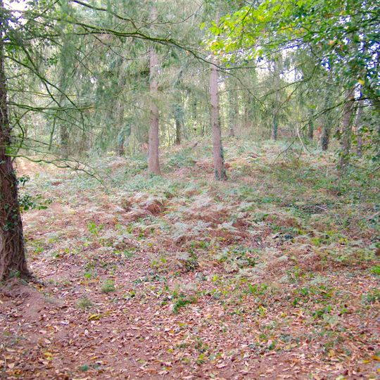 Tumulus de Plorec-sur-Arguenon