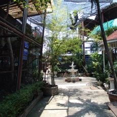 Pata Zoo