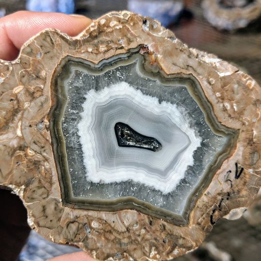 Basin Range Geolapidary Museum