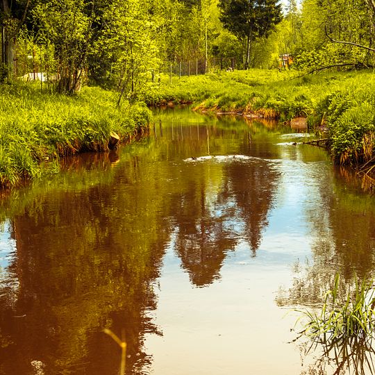 Усадьба Р.А. Кенша «Александровка»