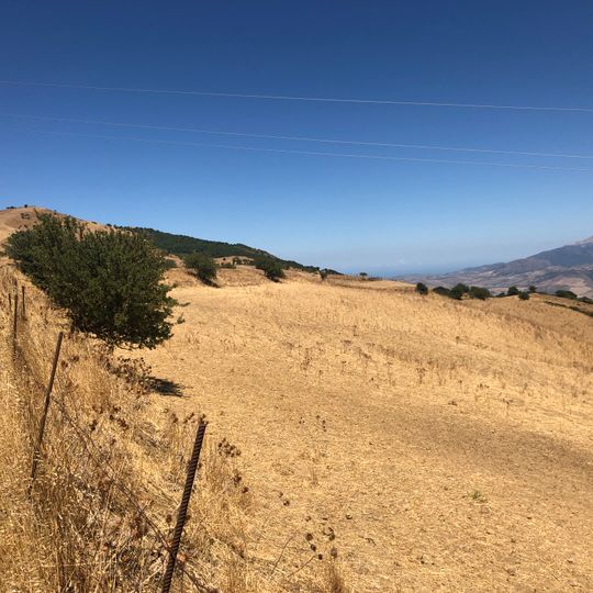 Riserva naturale orientata Bosco di Favara e Bosco Granza