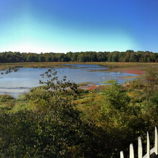 Huntley Meadows Park