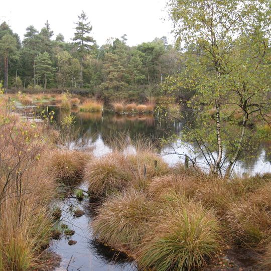 Grundloses Moor