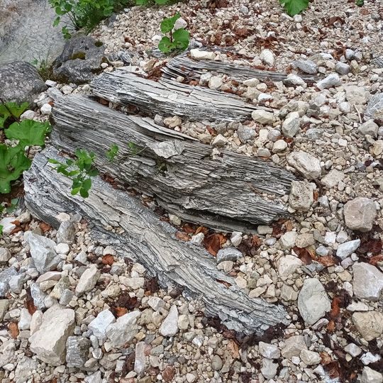 Gipsblock in der Pöllat SE von Hohenschwangau