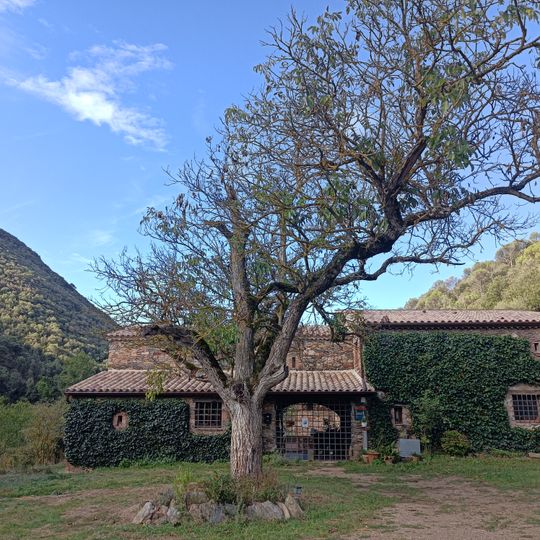 Casanova d'en Garriga