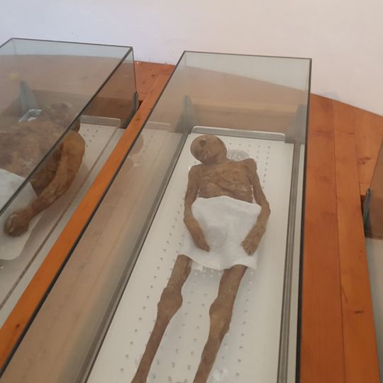 Mummified Corpses