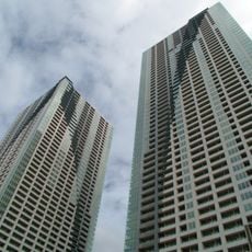 The Tokyo Towers