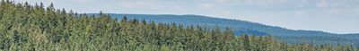 Panoramic View 3