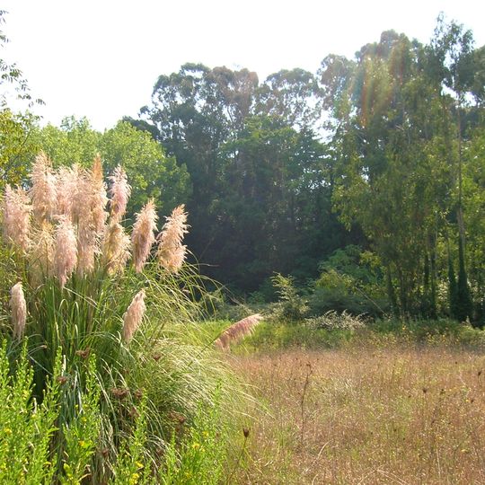 Monument naturel Parco della Cellulosa