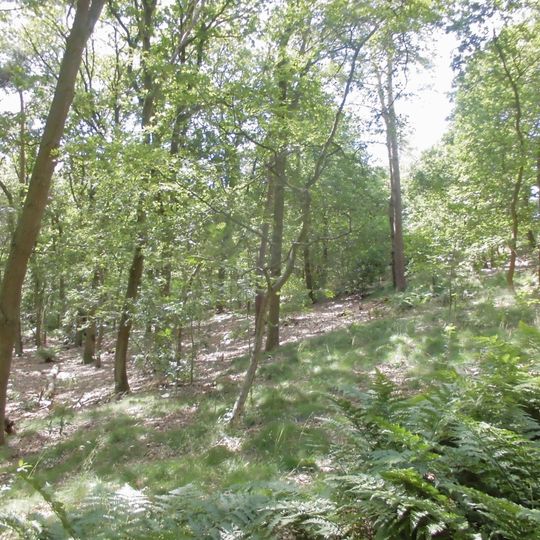 Kruishaardensberg of Kruishaarschans