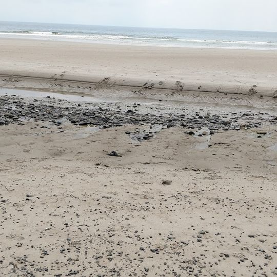 Biddeford Pool Beach