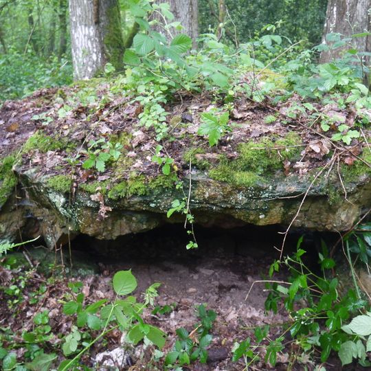 Tombe mégalithique du château de la Ferrière