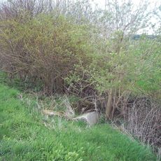 Kříž nad Lšelínem v zatáčce