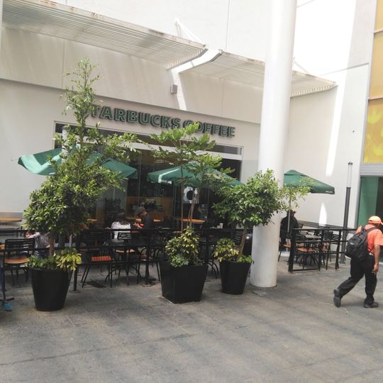 Starbucks Ciudad Jardín