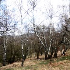 Prírodná rezervácia Pusté pole, Zlatá Baňa