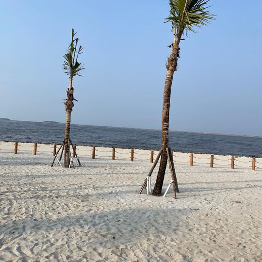 Aloha Pasir Putih