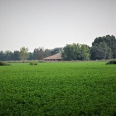 Barchessone Barbiere