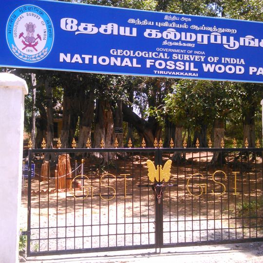 National Fossil Wood Park, Tiruvakkarai