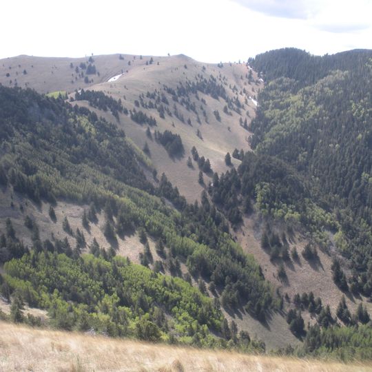 White Mountain Wilderness