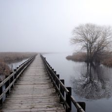 Parco nazionale di Point Pelee