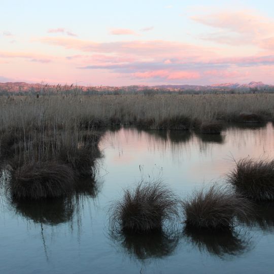 Réserve naturelle régionale de L'Ilon