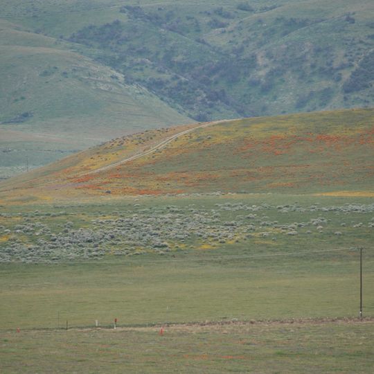 Willow Springs Canyon