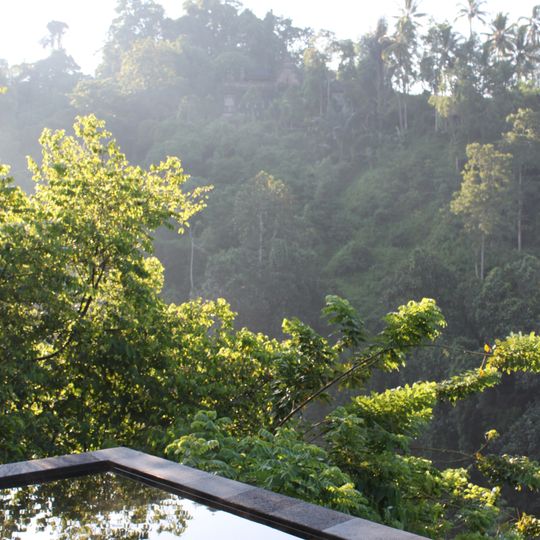 Hanging Gardens of Bali