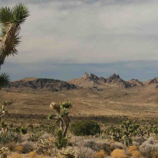 Castle Mountains National Monument