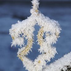 Sint Willibrordkerk: hekwerk