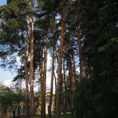 Скотный двор (два корпуса) (Валуево)